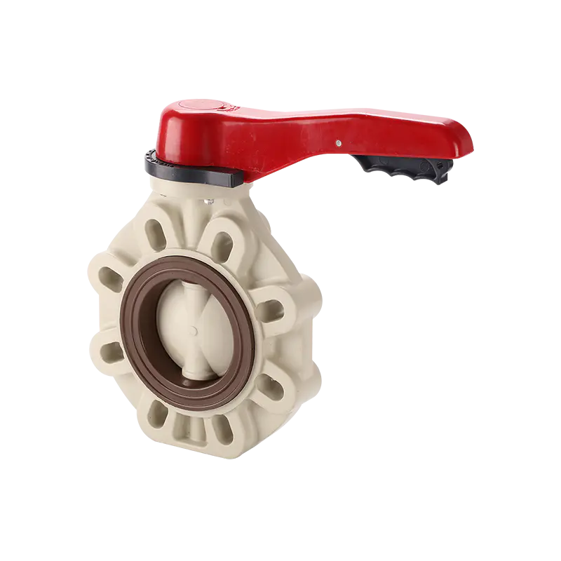 Ausführung mit Absperrklappe und Hebelgriff